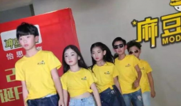 麻豆三级,揭秘网络红人的崛起与争议